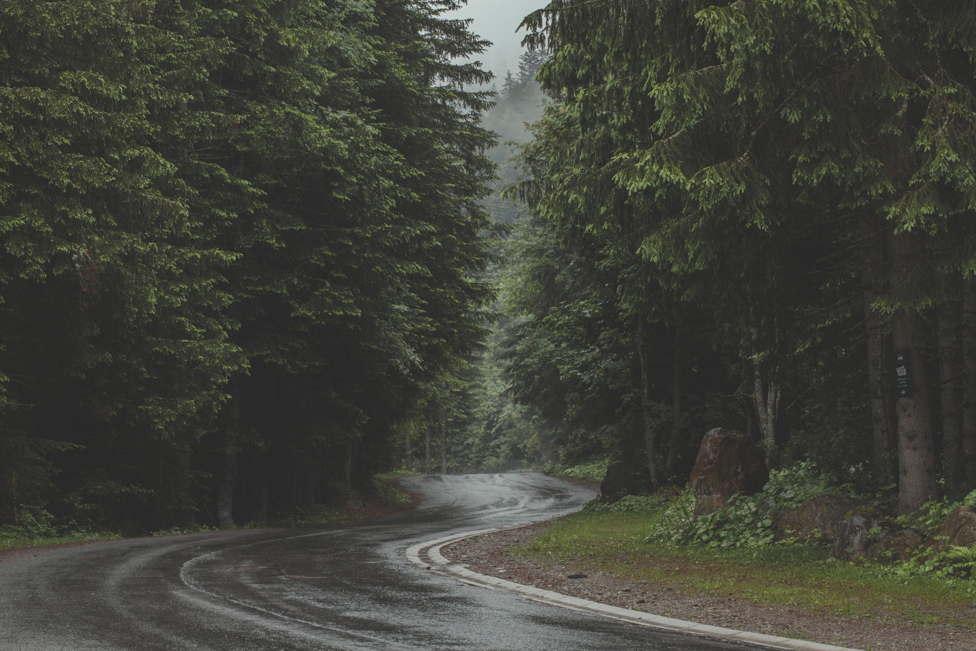 Long Roads Clear Minds